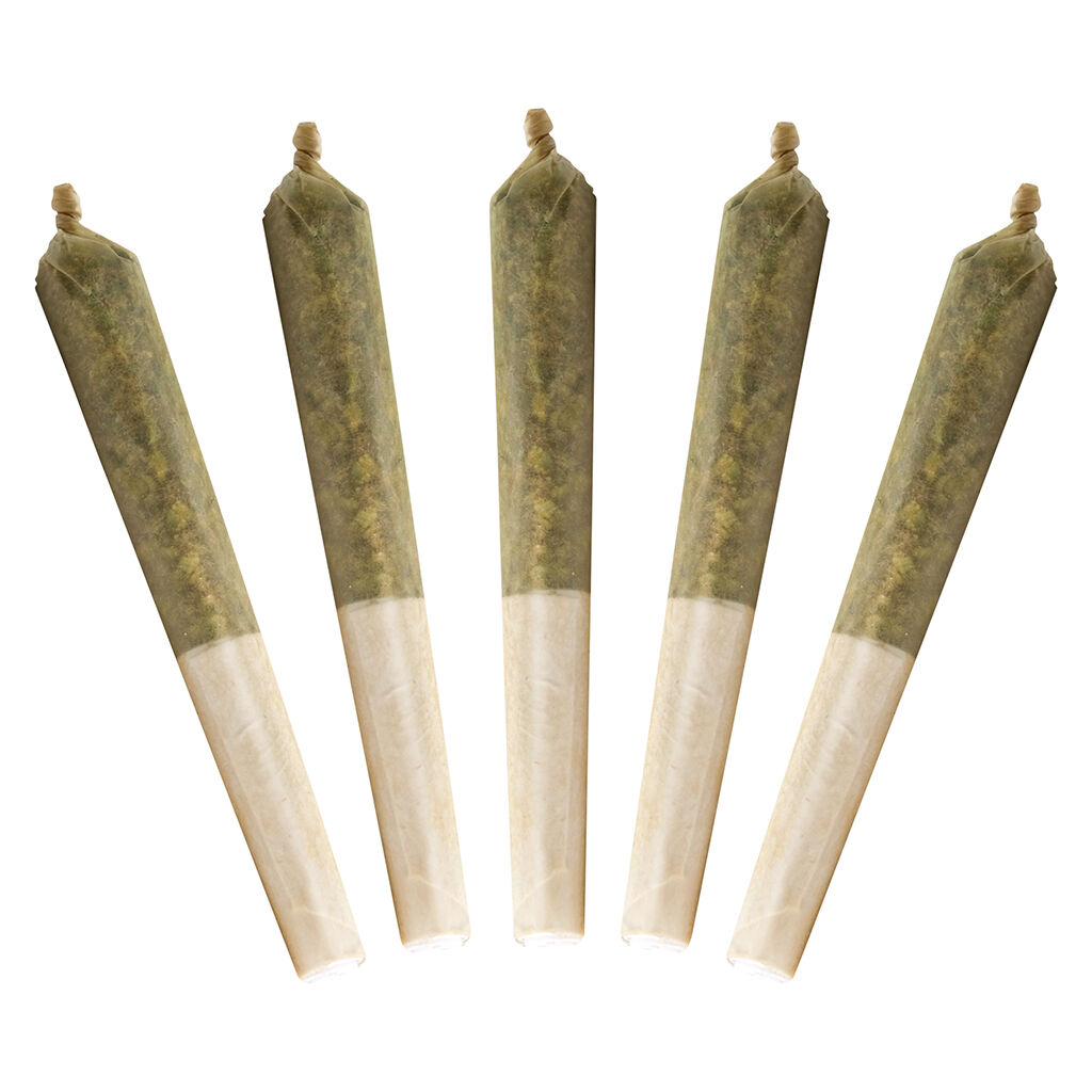 Buddy Blooms - Black Cherry Punch Bubble Hash Infused Pre-Roll - Indica - 5x0.5g