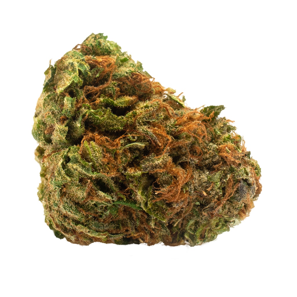 Twd.28 - Blue Dream Flower