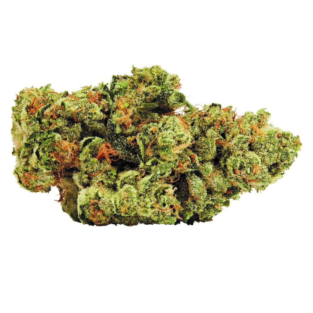 The BC Bud Co - HHH