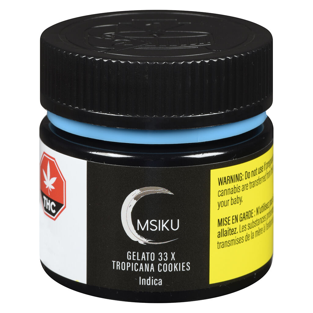 MSIKU - Gelatto 33 x Tropicana Cookies