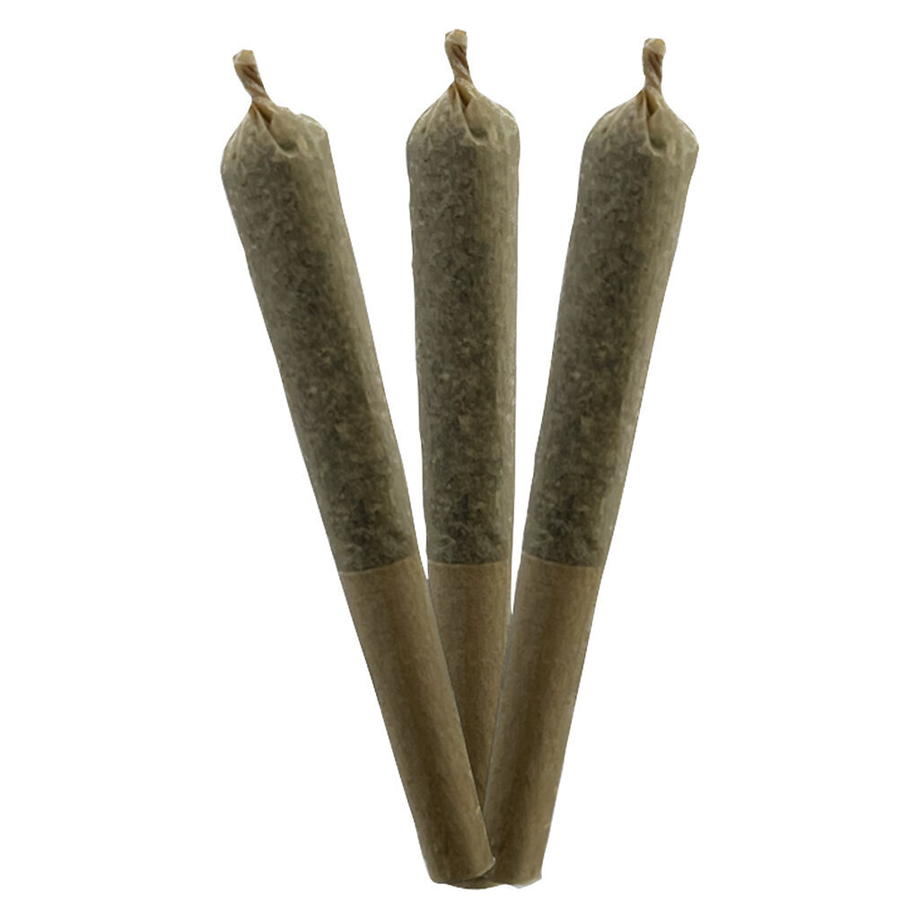 Astronaut Cannabis - Gary Payton Vegan-Organic Pre-Roll - Indica - 3x0.5g