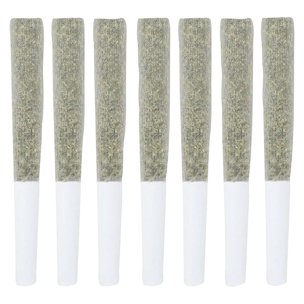 RETRO HAZE - House Of Hazes Pre-Roll - Sativa - 7x0.5g