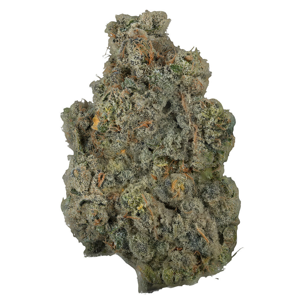 VOLO - Platinum Lemon Cherry Gelato