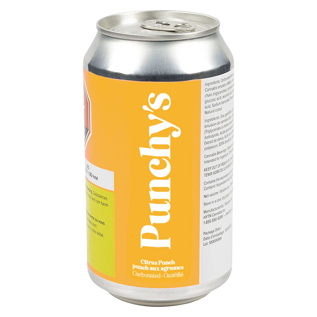 Punchy's - Citrus Punch - Hybrid - 355ml