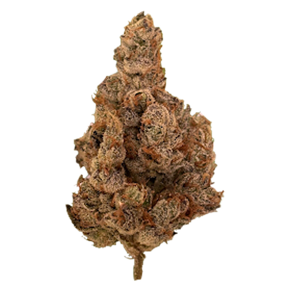 Barrie Dank - Donny Burger (GMO x Han Solo)