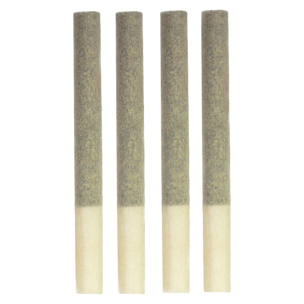 Steel City Green - Kings+ Extreme Pre-Roll - Hybrid - 4x1g