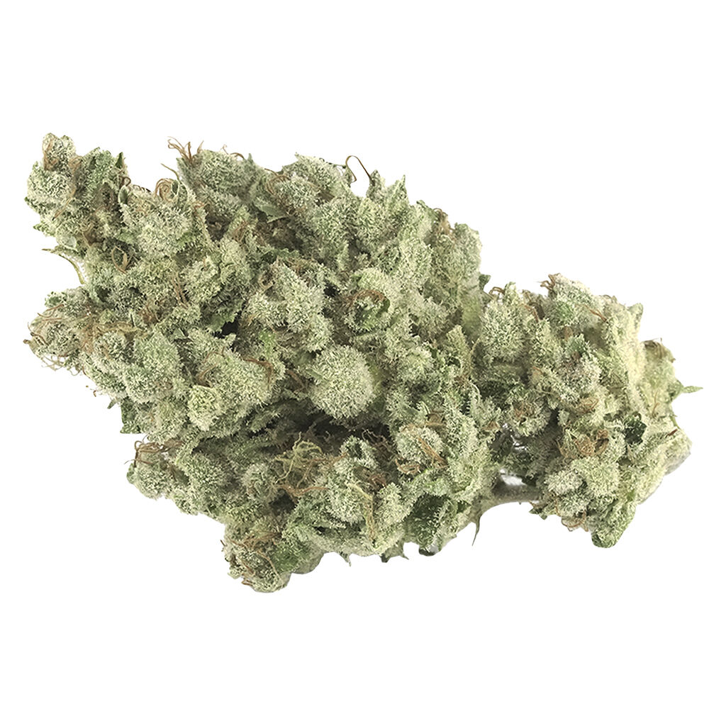 Tantalus - Coastal Sage