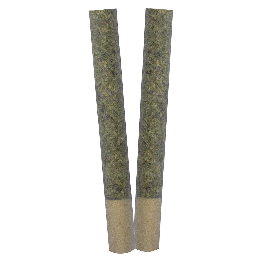 TRYGG - IGNITE Pre-Roll - Sativa - 2x1g