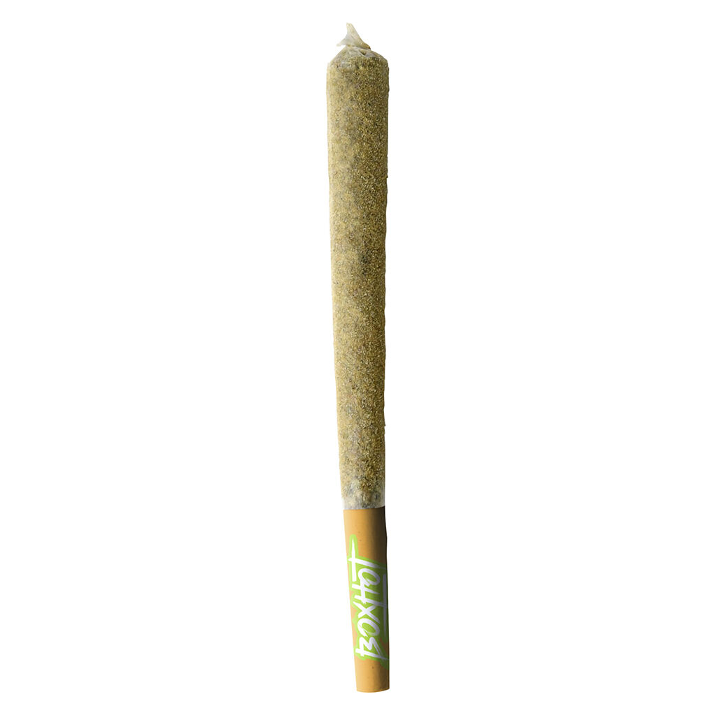 BOXHOT - Dusties XL Retro Orange Blast Kief-Coated Infused Pre-Roll - Hybrid - 1x1.2g