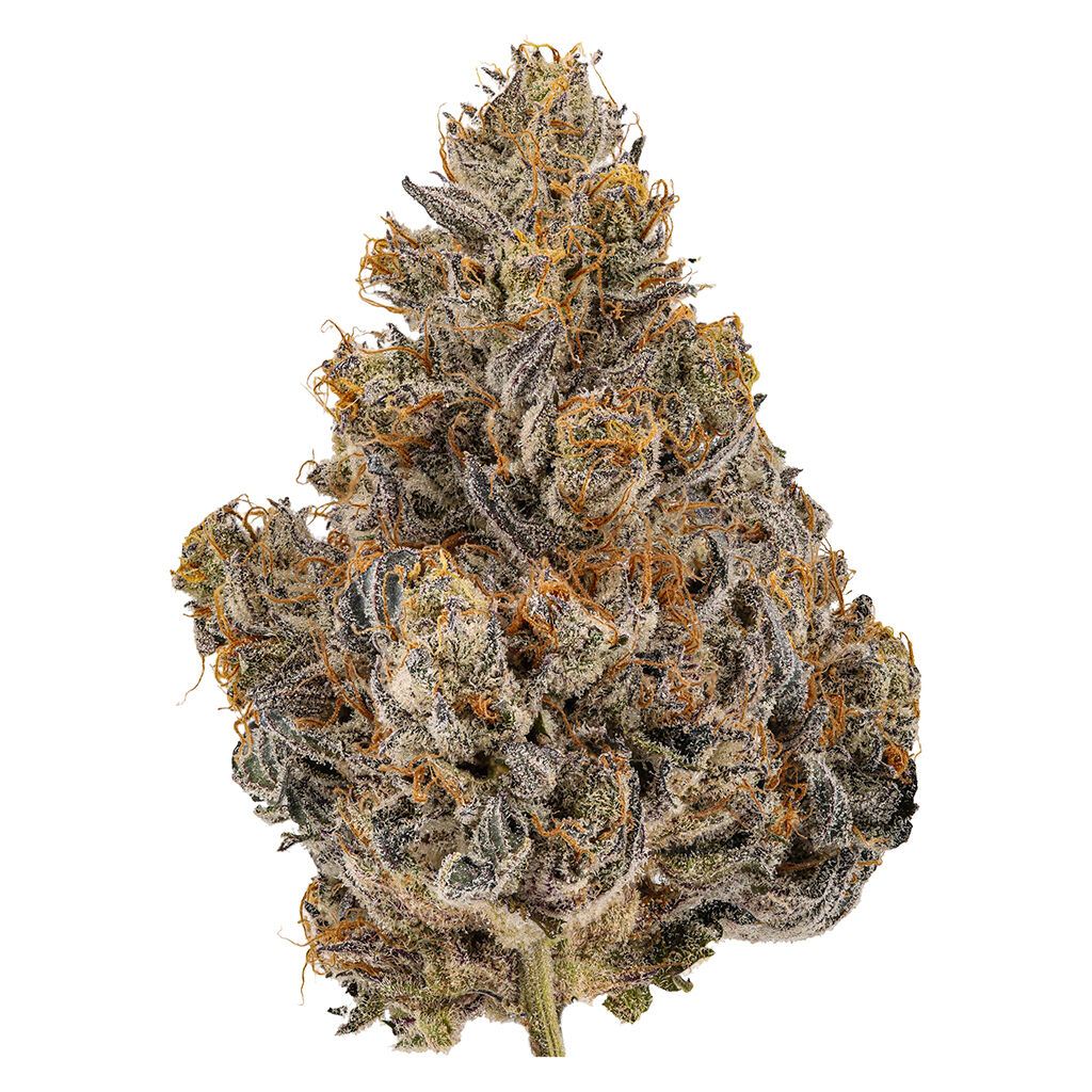 Cheers Cannabis - King Mango