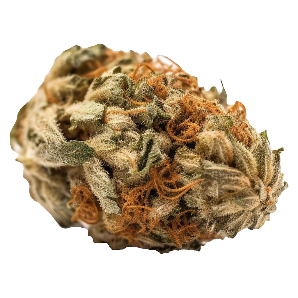 High Maintenance - Dolce Gelato