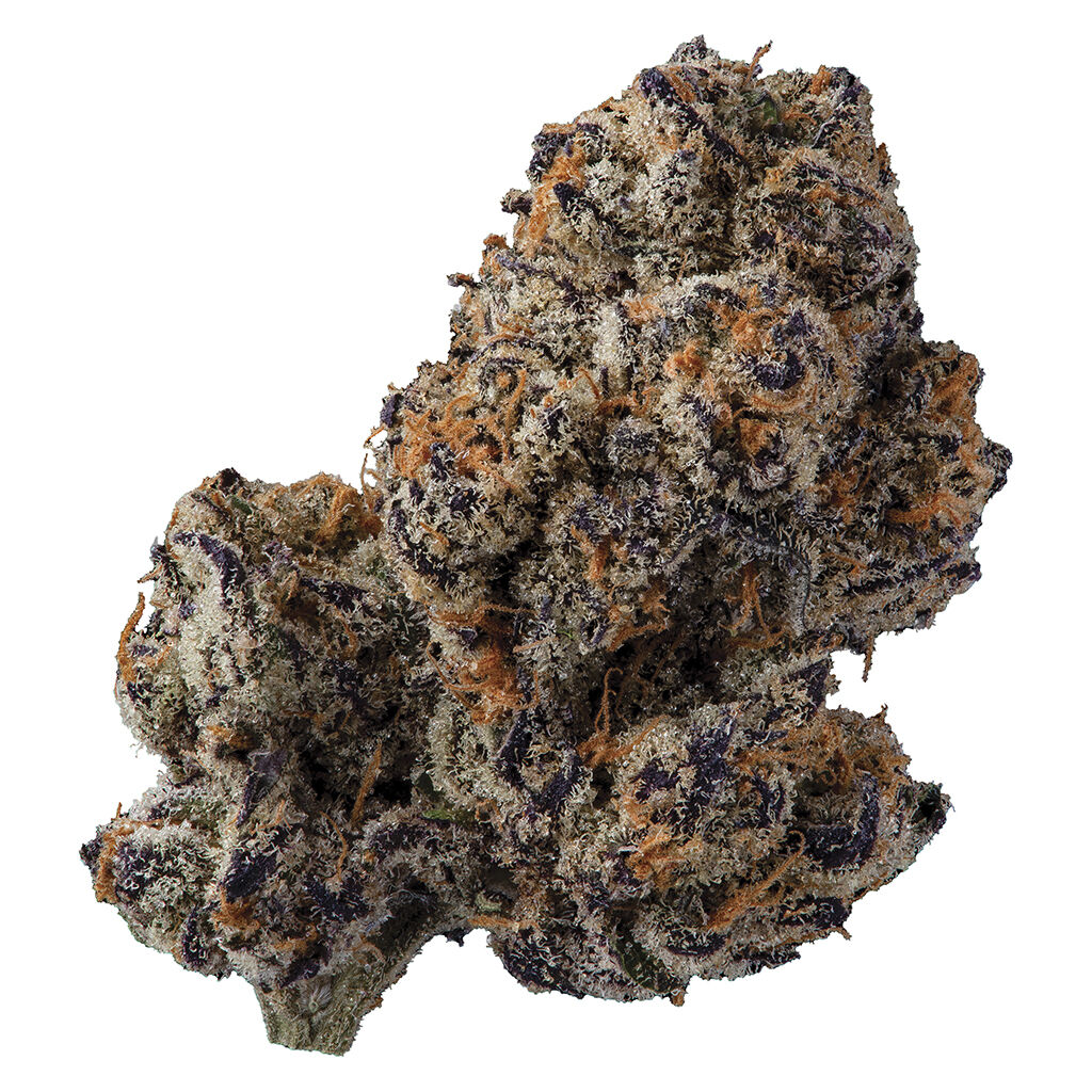 Compound Genetics - Mellowz #8