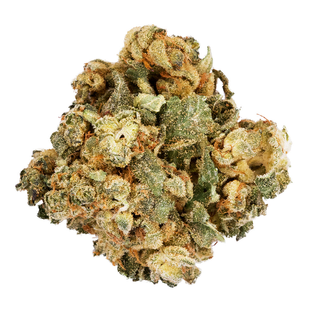 XK - Casper Haze