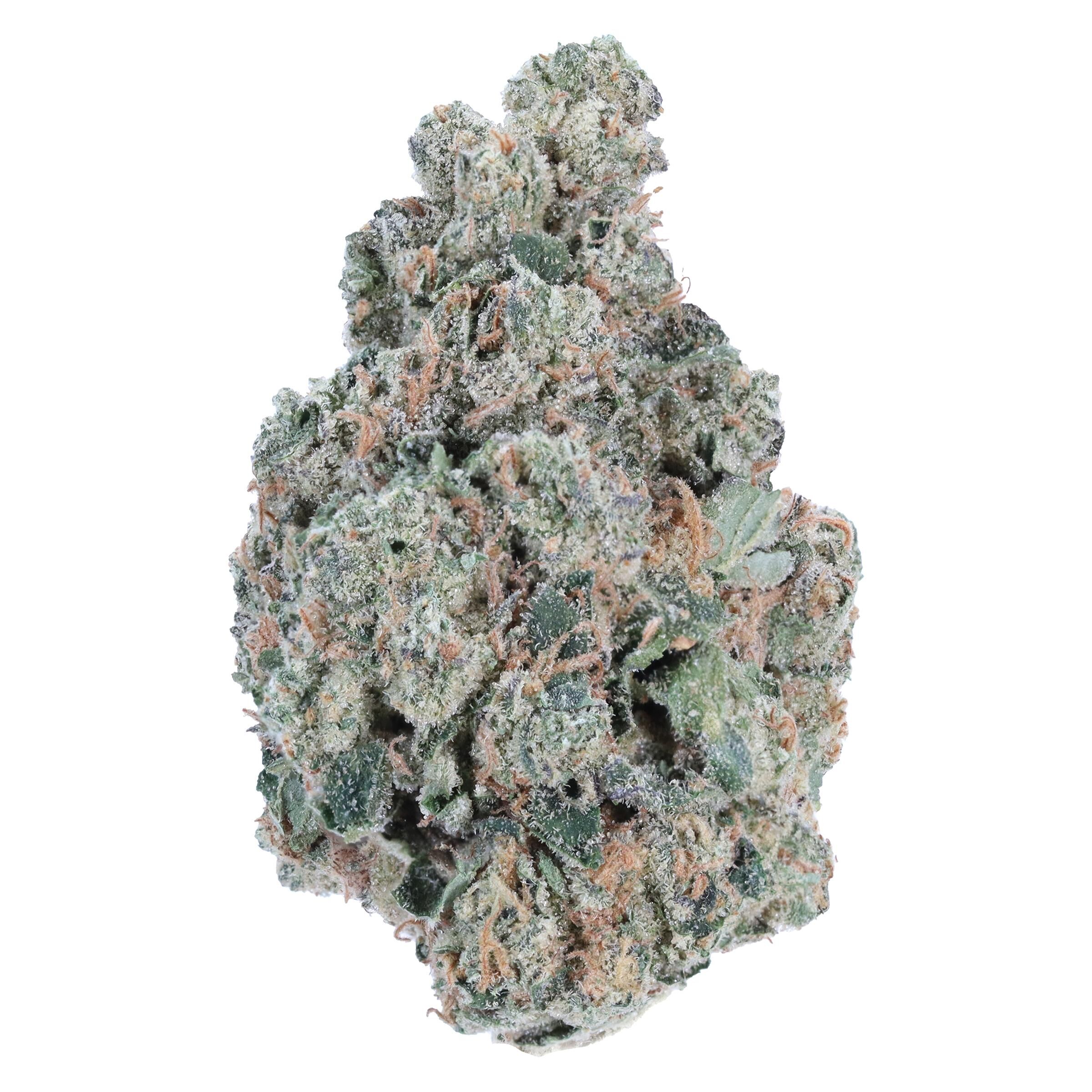 Loud & Proud - Pineapple Gelato
