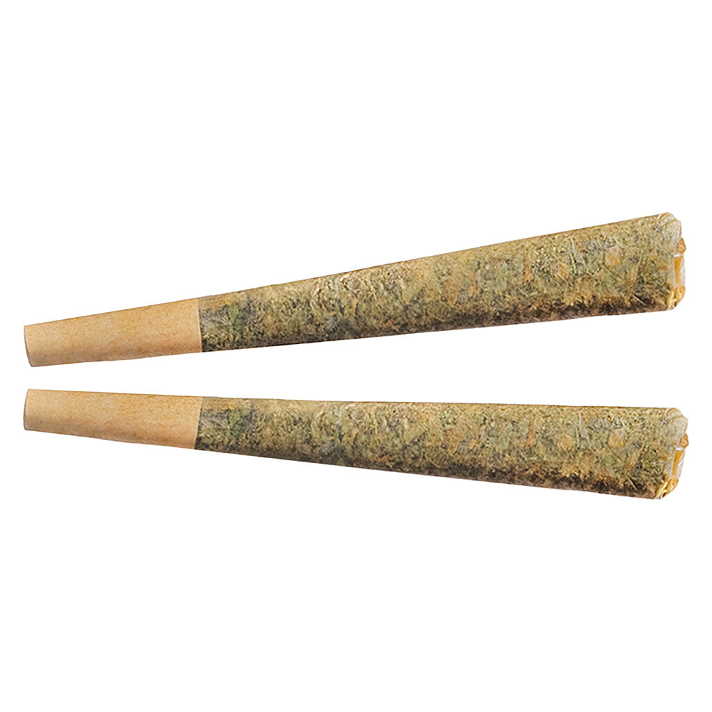 Fuego - Night Rider Indica Pre-Roll - 1x1g