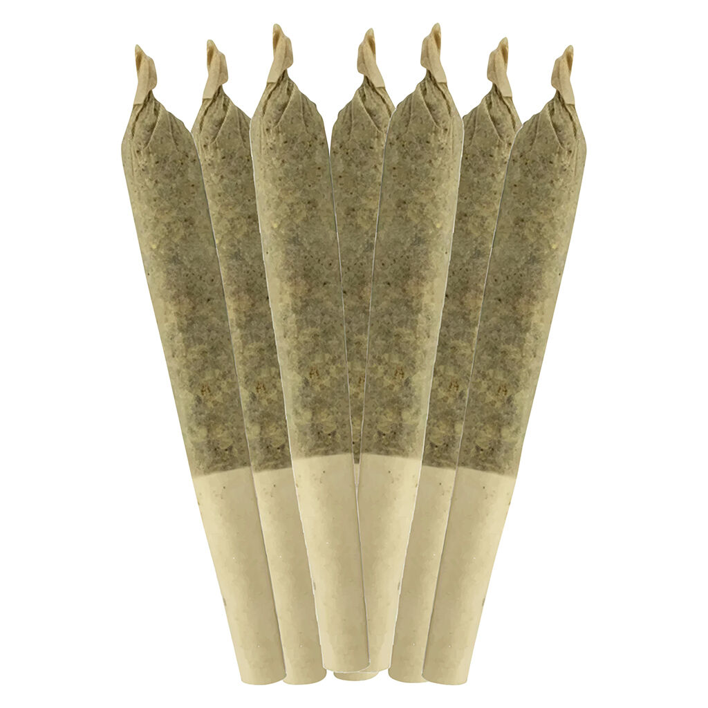 Sheeesh! - Dia De Los Muertos Pre-Roll - Indica - 1x1g
