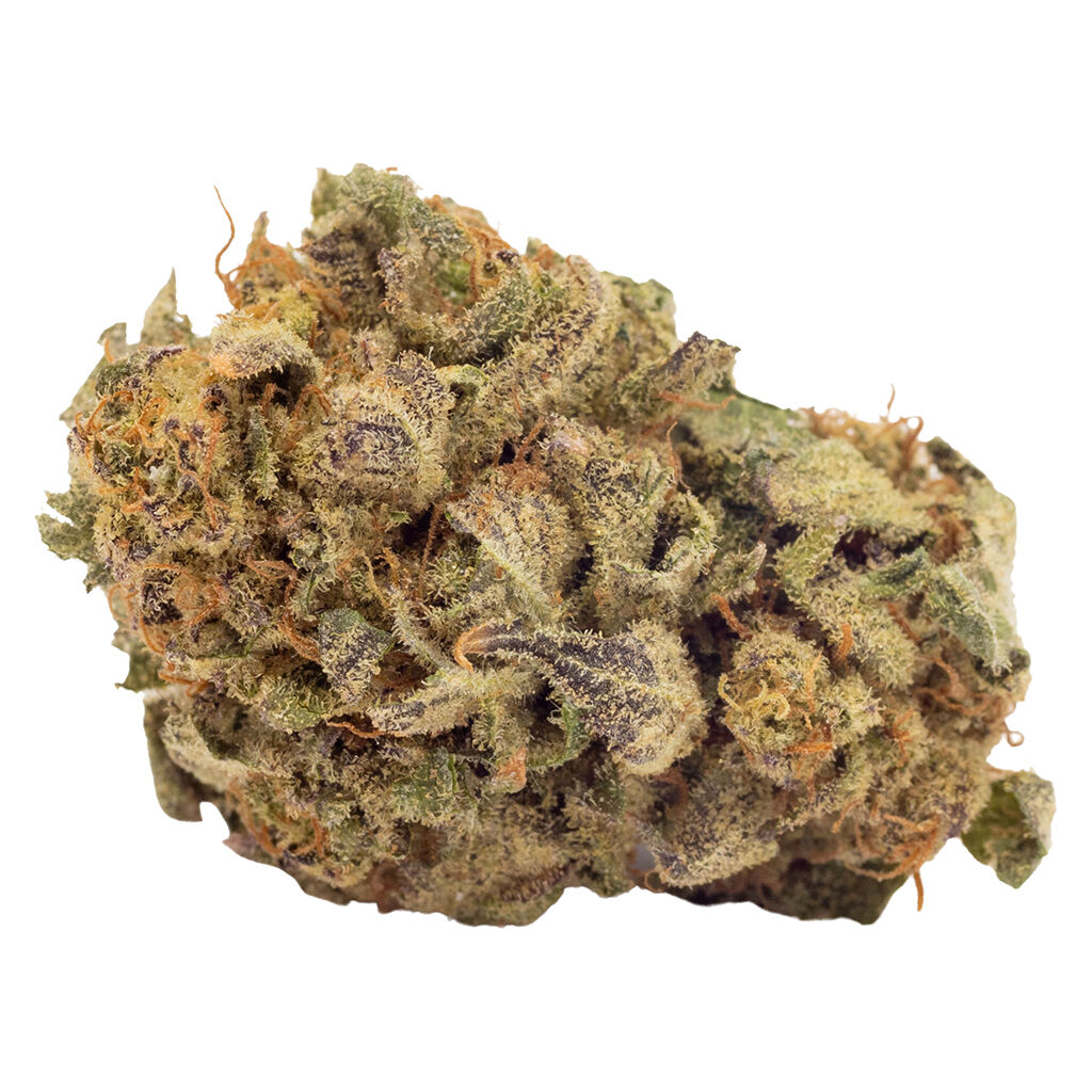 FIGR - Crumbled Lime - Dried Flower
