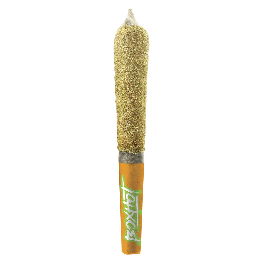 BOXHOT - Dusties - Orange Blast Kief-Coated Infused Pre-Roll - Hybrid - 3x0.5g