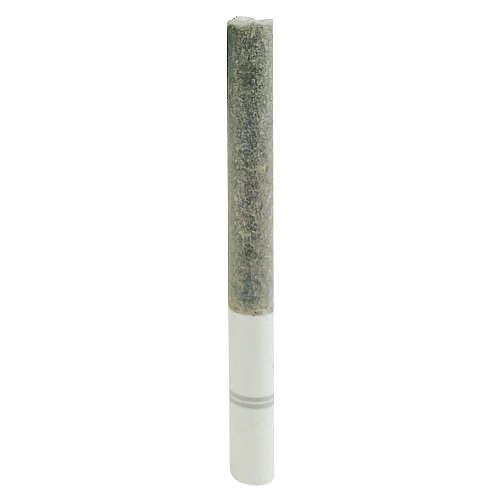 November Rain - Blasters Ice Tea Pre-Roll - Hybrid - 3x0.5g