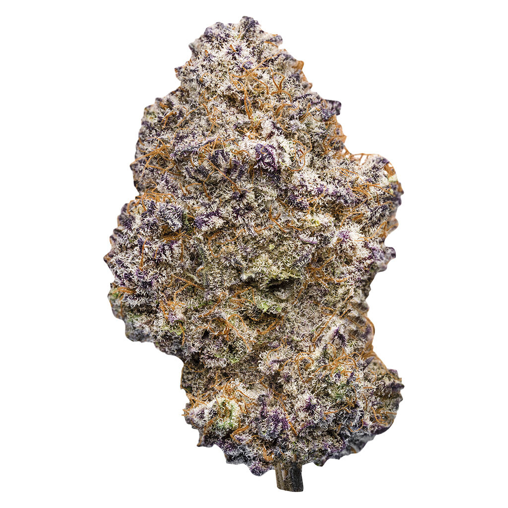Pistol And Paris - British Columbia's Gas