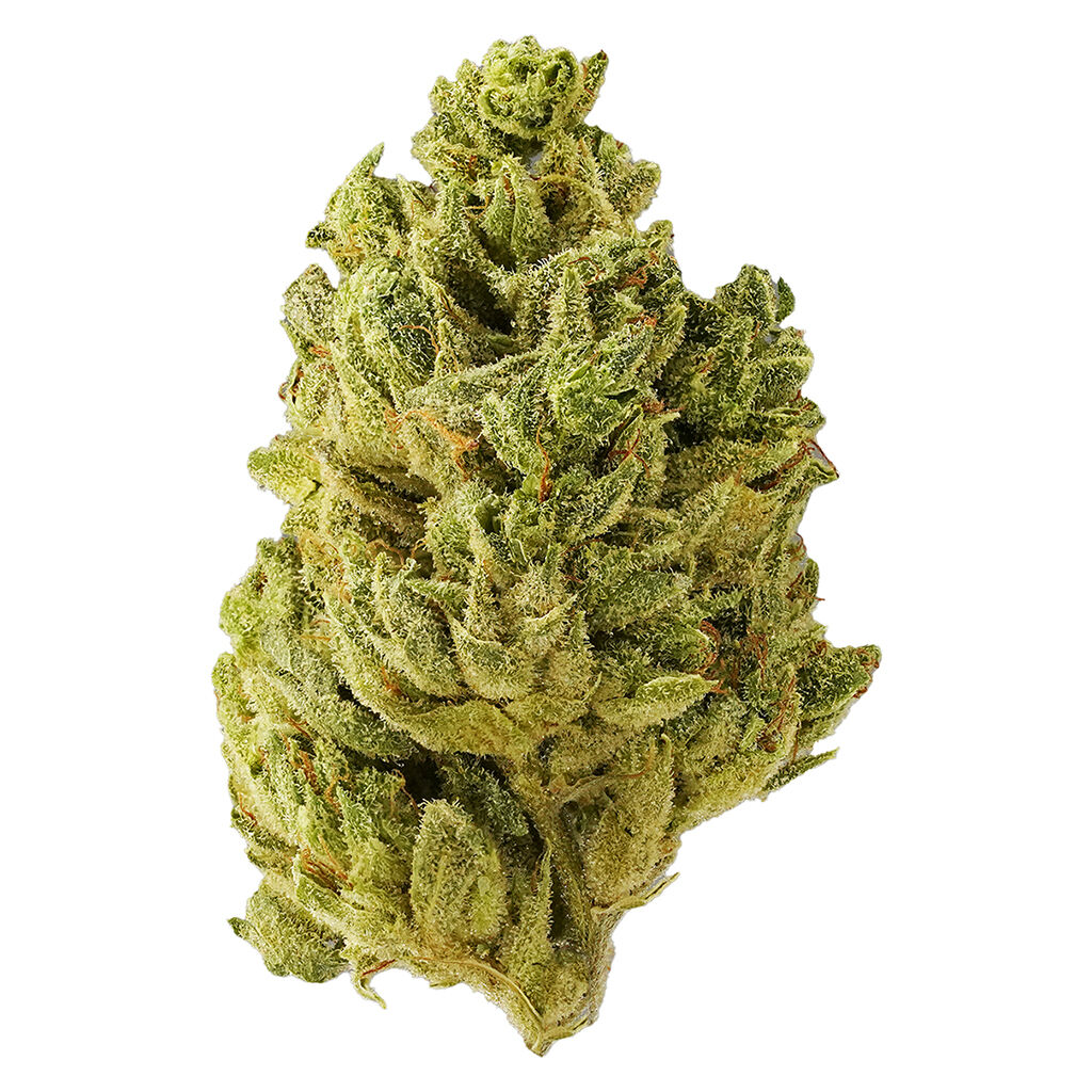 Tantalus - Pacific OG