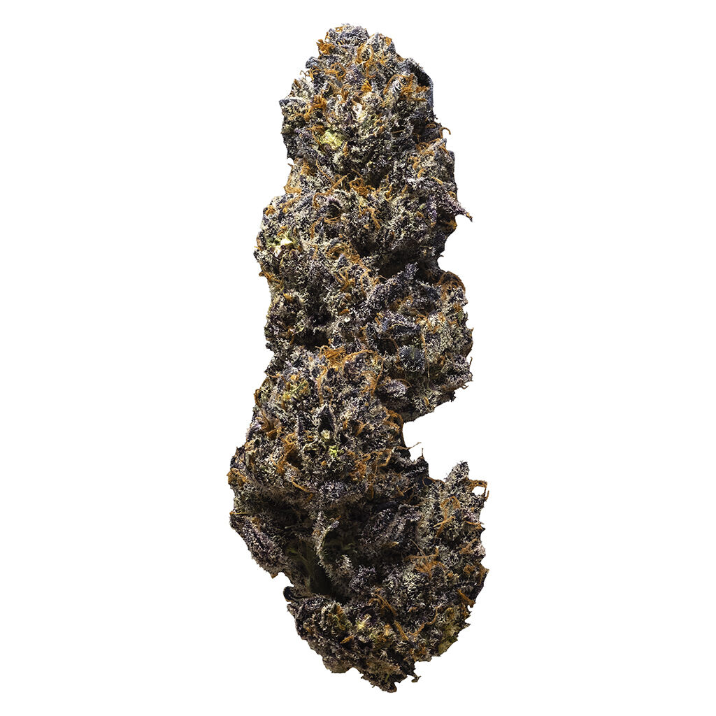3rd Coast Genetics - The Dark Side
