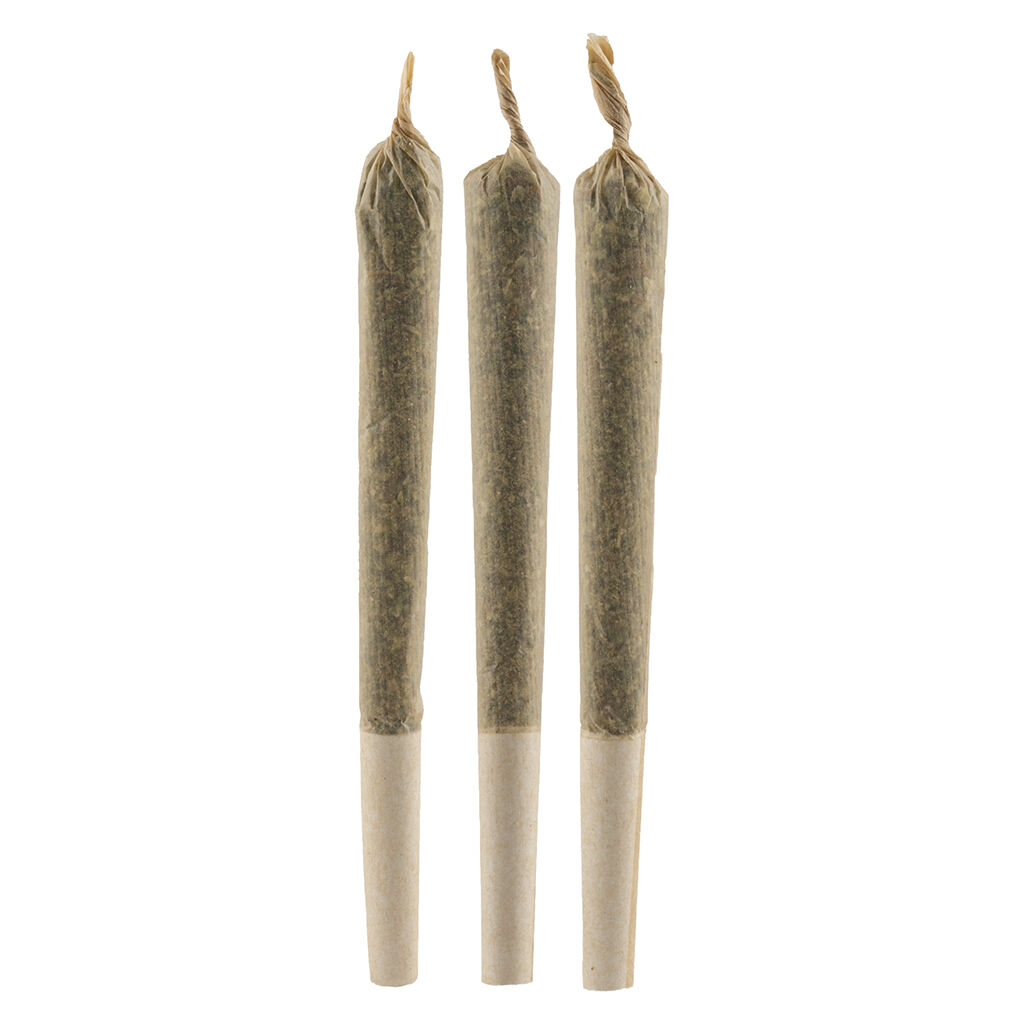 Primo - White Widow Pre-Roll - Sativa - 3x0.5g