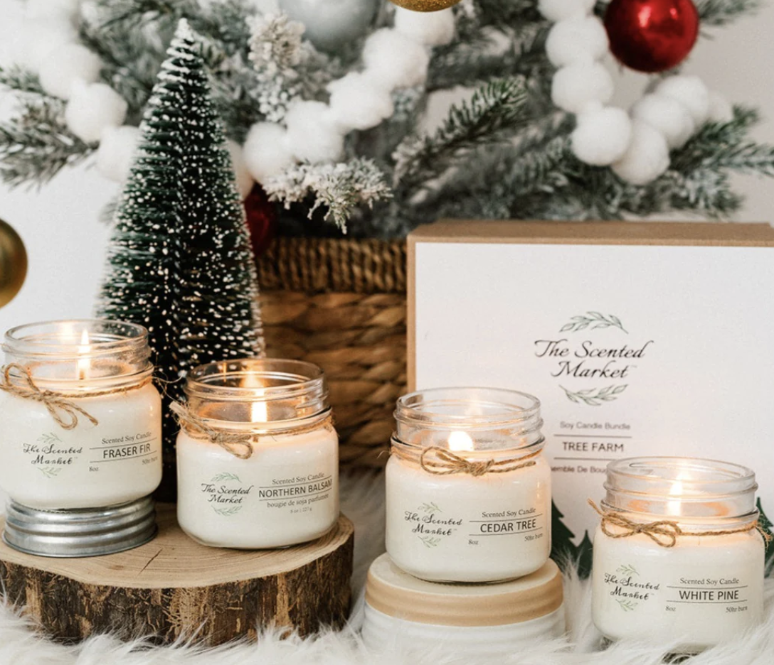 Winter Box - Tree Farm