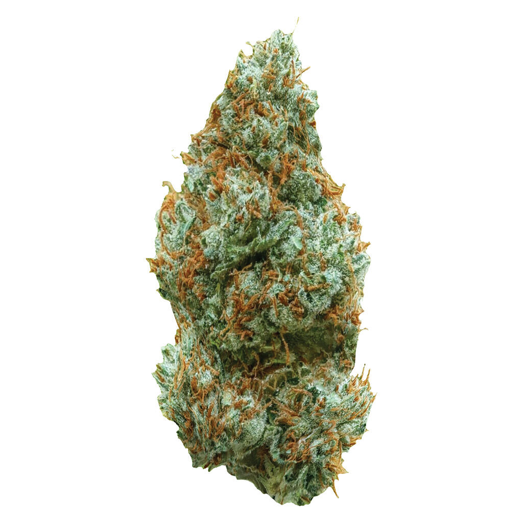All Nations - Lemon Tartz