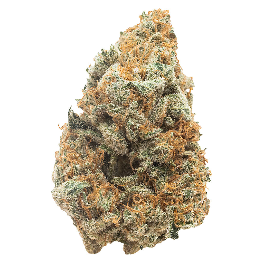 OGEN - PHENOHUNT Indoor Craft Grown Sativa