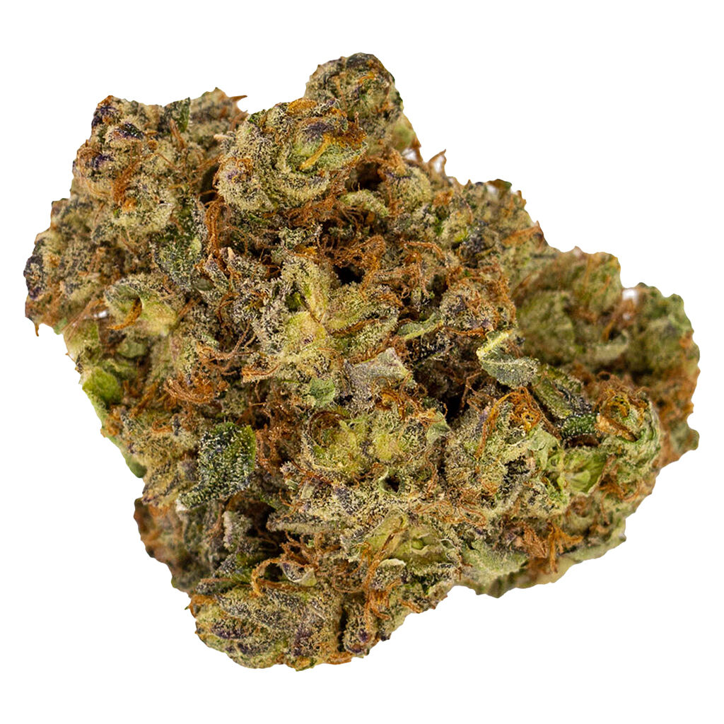 Violet Tourist - Guava Gas Superflower
