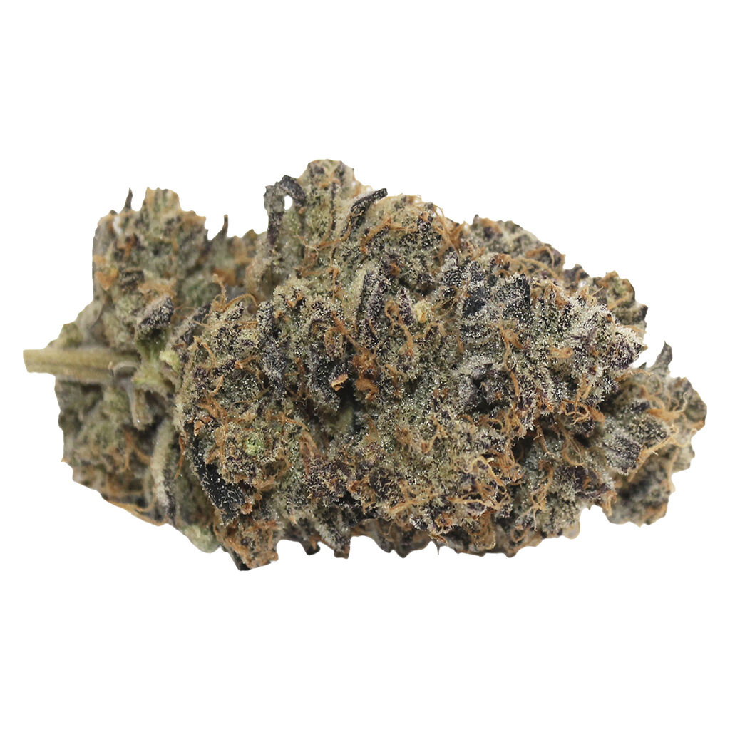 Pineapple Buds - Violet G*shers