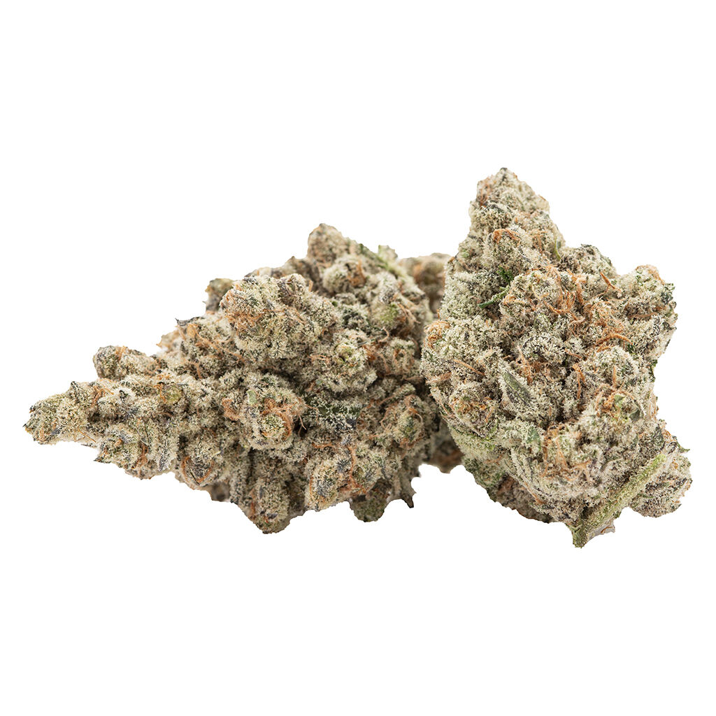 Cactus - Kush Fest