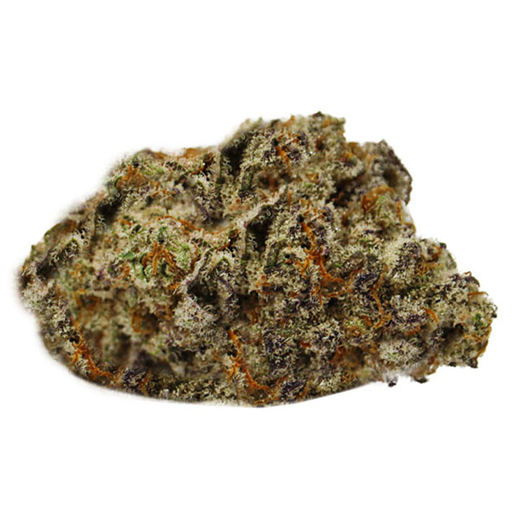 Pura Vida - Pura Vida Legacy Gorilla Cookies