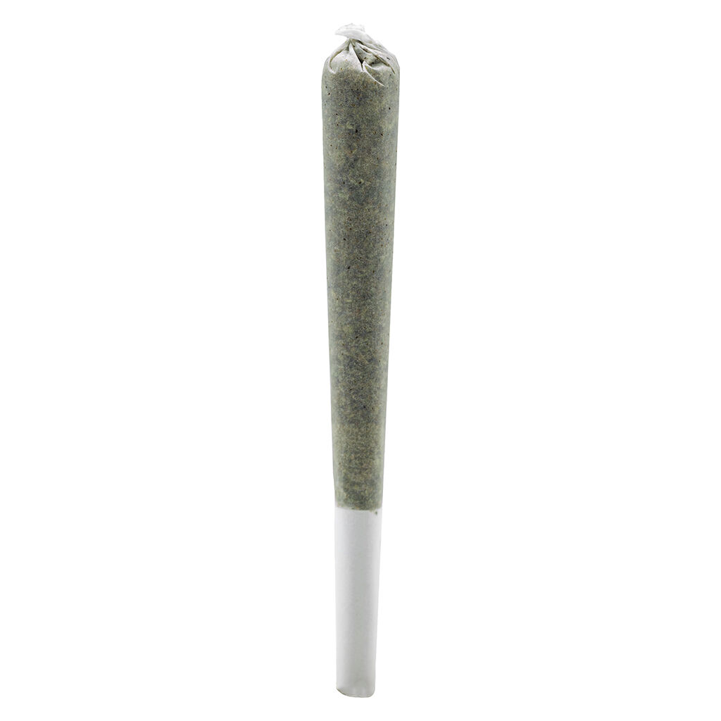 Simply Bare - Fire OG Rosin Roll - Indica - 1x0.5g