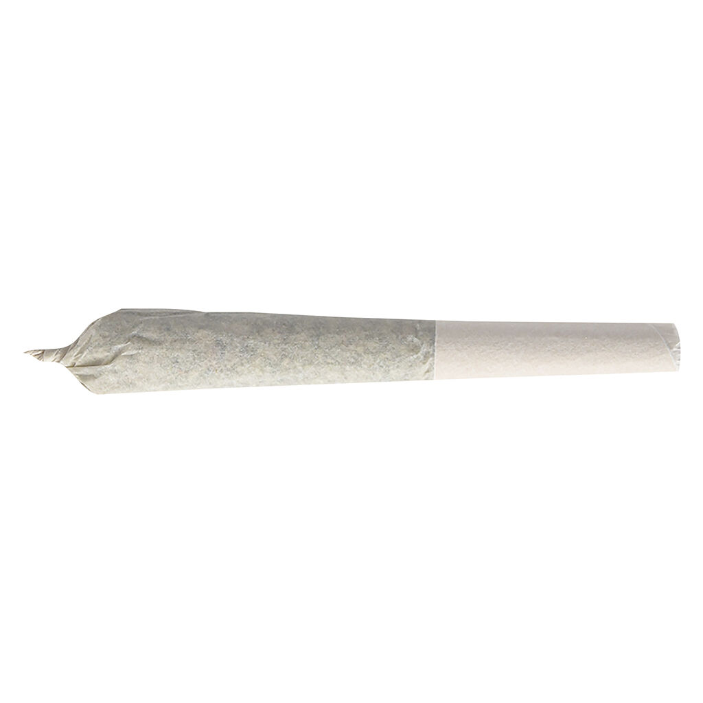 Pineapple Buds - Pineapple Haze Craft Pre-Roll - Sativa - 7x0.5g