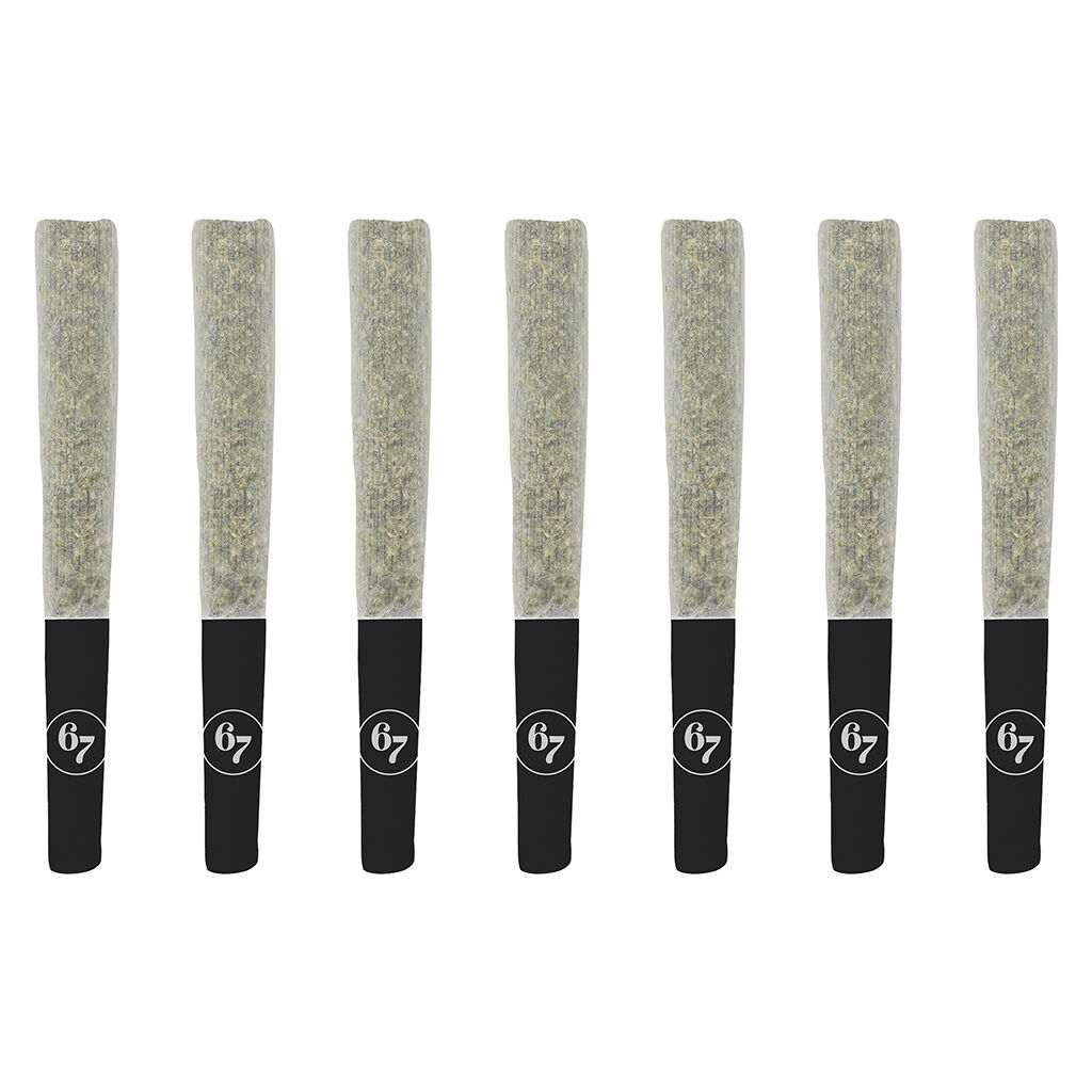 Sixty Seven Sins - Fishy Fingers Pre-Roll - Hybrid - 7x0.5g
