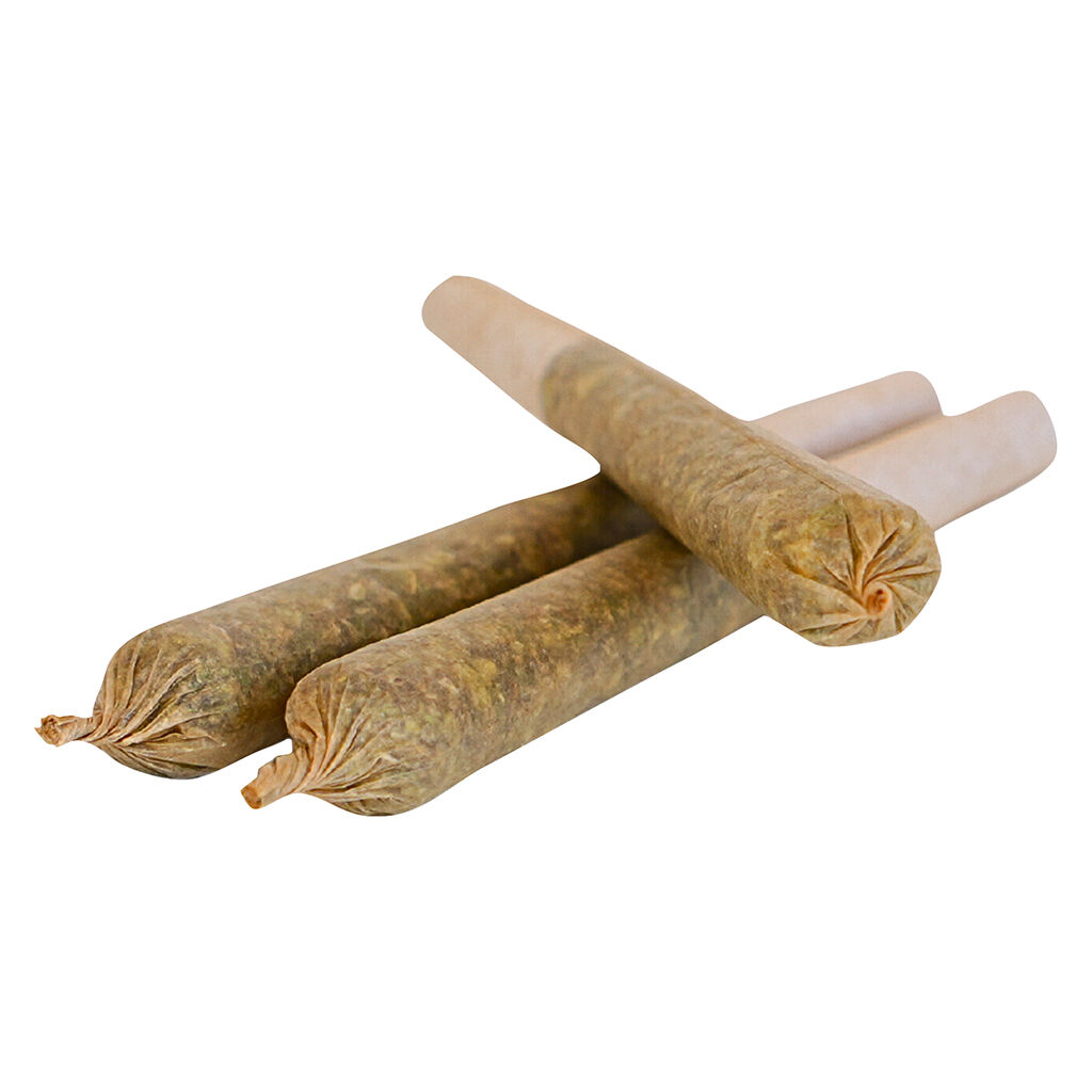TADU - Governmint Oasis2 Pre-roll - Hybrid - 3x0.5g