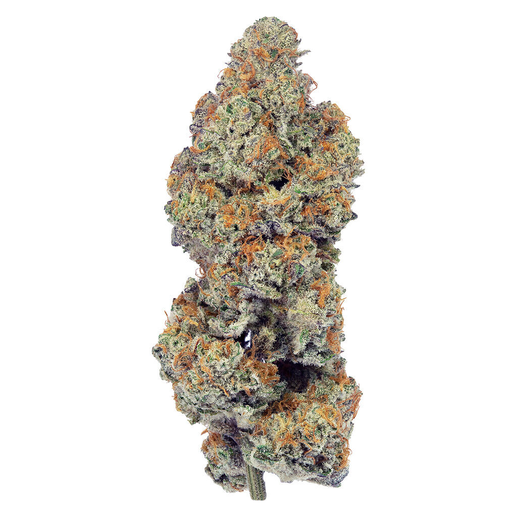 PURPLEFARM - Hazes + Jacks