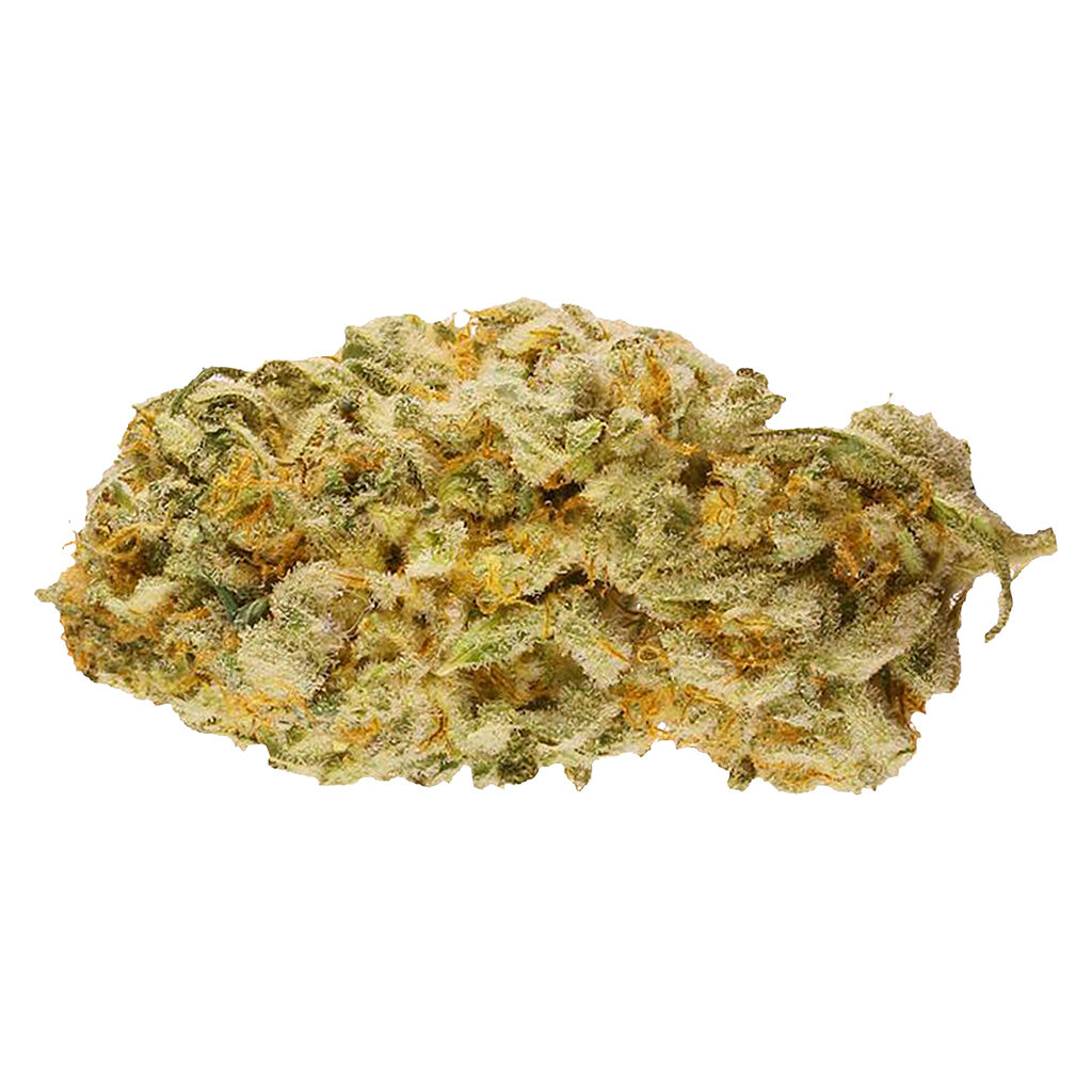 Retro Haze - Jack Herer