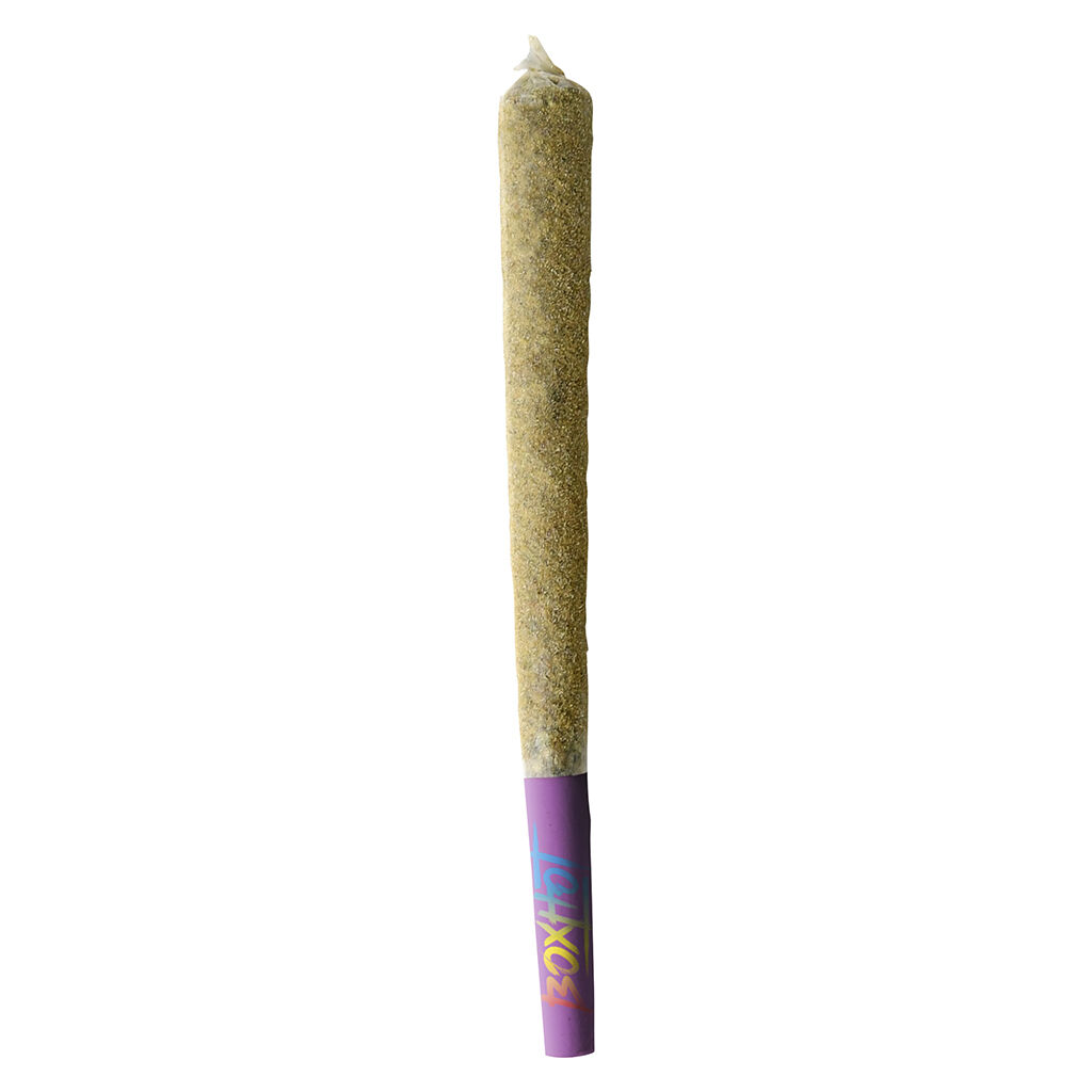 BOXHOT - Dusties XL Retro Rainbow Burst Kief-Coated Infused Pre-Roll - Hybrid - 1x1.2g