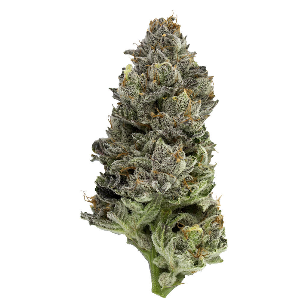 Original Stash - Black Cherry Punch