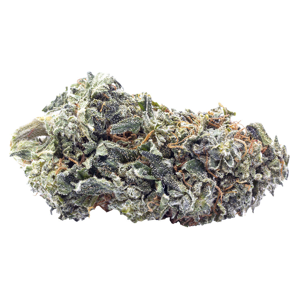 Terp Town Collective - Frosty Melonz
