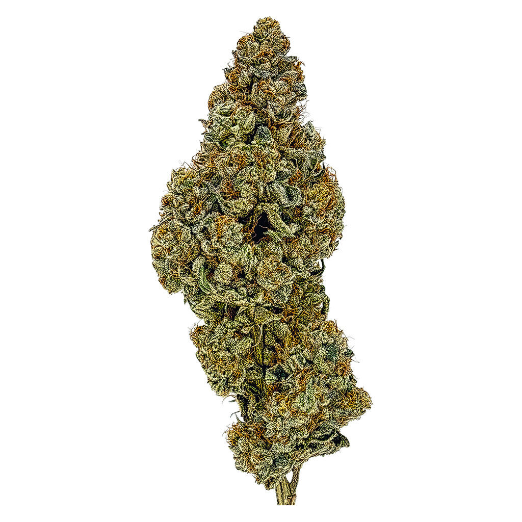 Supernova Farms - Award-Winning Craft Flower
