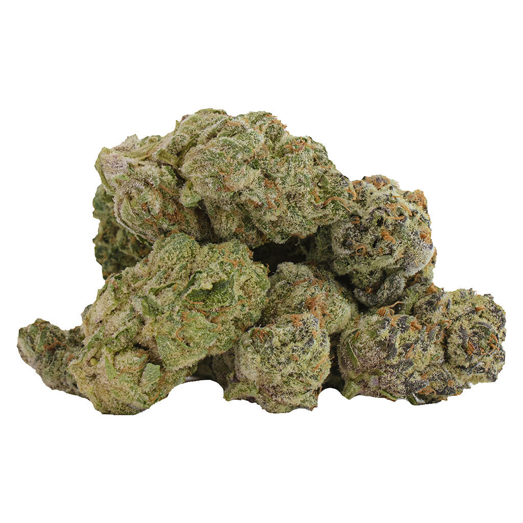 Castle Rock Farms - Glitterbomb X Rainbow Cheddar #5