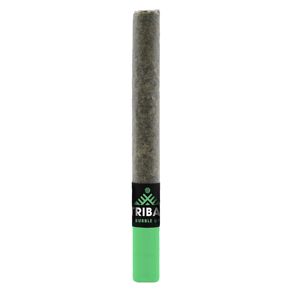 Tribal - Bubble Up Ceramic Tip Pre-Roll - Indica - 1x1g