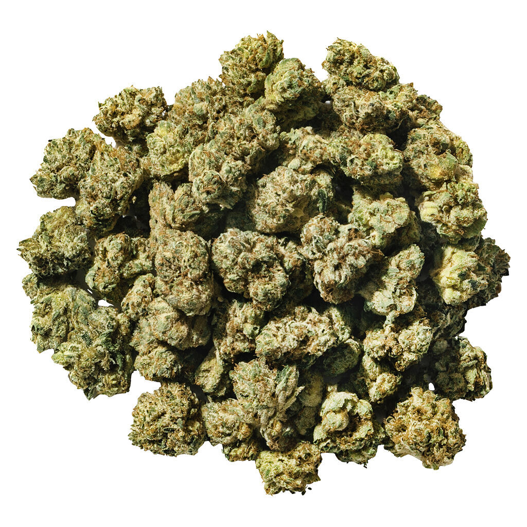 Super Toast - smol buds (indica)