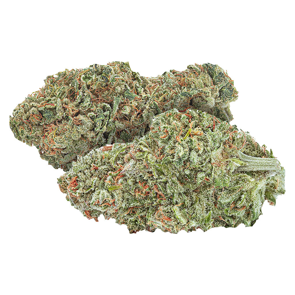 The Green Organic Dutchman – TGOD - Double Dutch Combo Pack