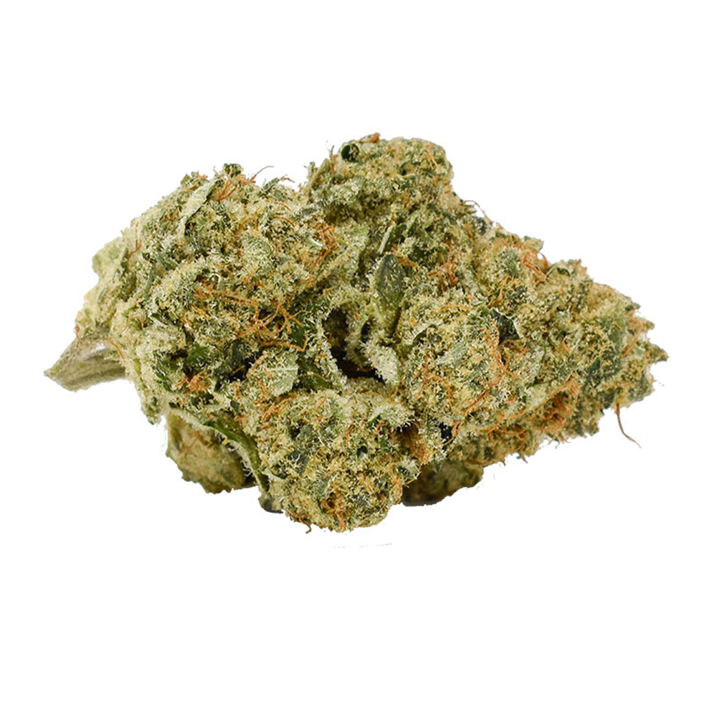 CALI - Mmmosa Evo