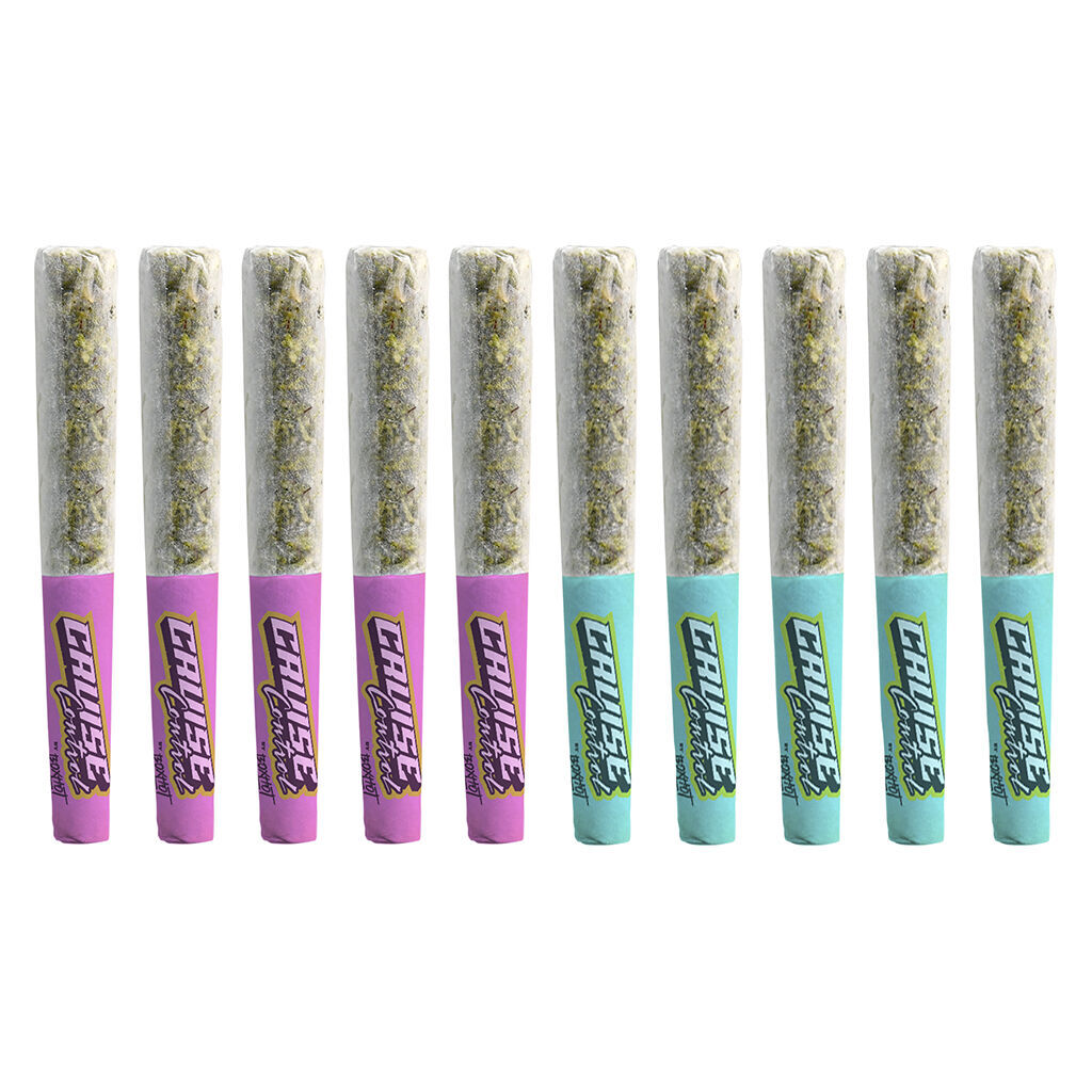 Cruise Control by BOXHOT - Spark plugs: Nitro+Daytona Peach Infused Pre-Roll - Sativa - 10x0.5g